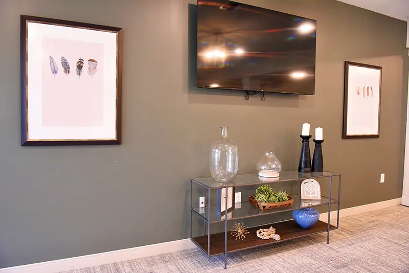 display shelves with tv and artwork